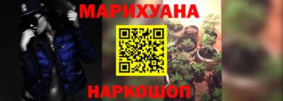 сатива Аргун