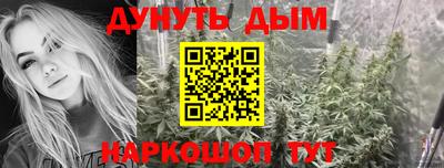 сатива Аргун