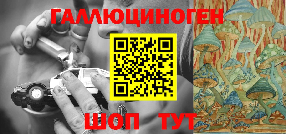 Псилоцибиновые грибы Psilocybine cubensis Архангельск